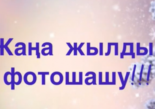 Выставка фотографий "Новогодняя фотовспышка"